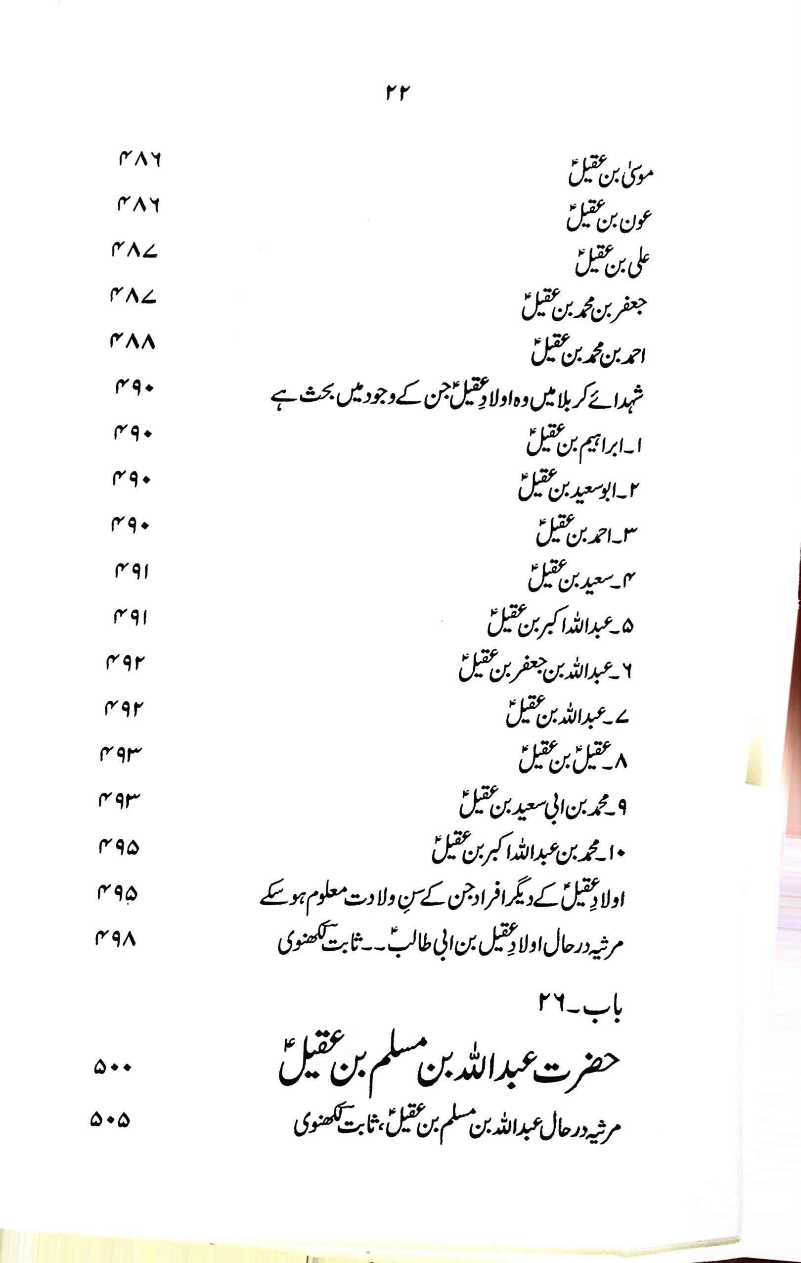 Zindagani e Hazrat Muslim Bin Aqeel A.s | زندگانی حضرت مسلم بن عقیل