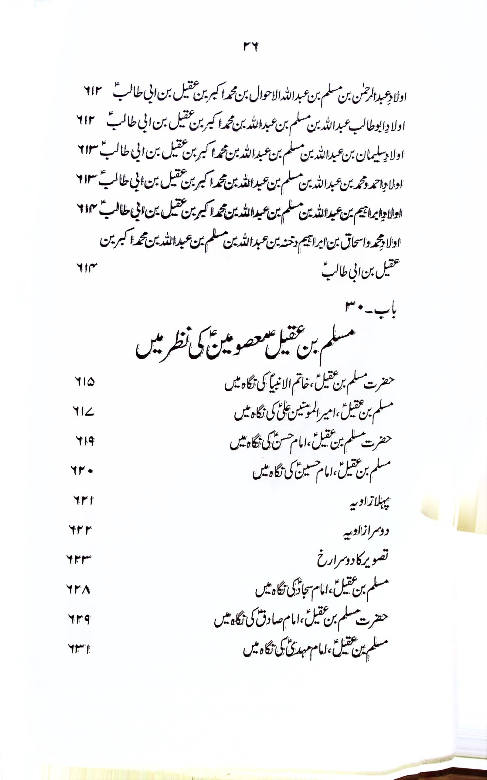 Zindagani e Hazrat Muslim Bin Aqeel A.s | زندگانی حضرت مسلم بن عقیل